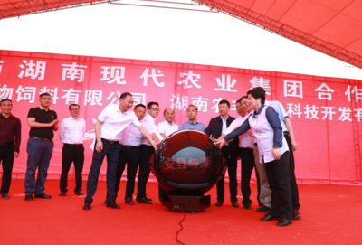 東安縣與湖南現代農業集團合作項目開工 總投資近2.6億元