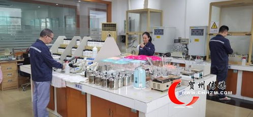 賀州市經(jīng)濟(jì)社會發(fā)展成就綜述 奮力走在前列 譜寫精彩篇章