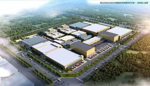 總投資64億元，自貿區煙臺片區6大智能制造重點項目集中開工